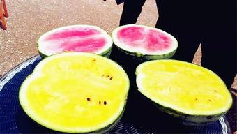 瓜太郎吃瓜爆料,娱乐圈幕后真相大揭秘