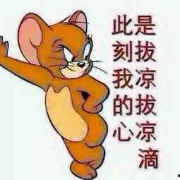 吃瓜群众照片可爱